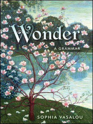 cover image of Wonder
